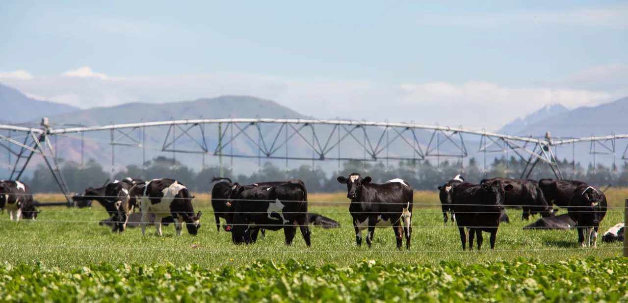 Agriculture Agriculture