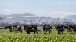 Transforming Australian agriculture with clean energy